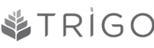 Grupo Trigo Grupo Trigo